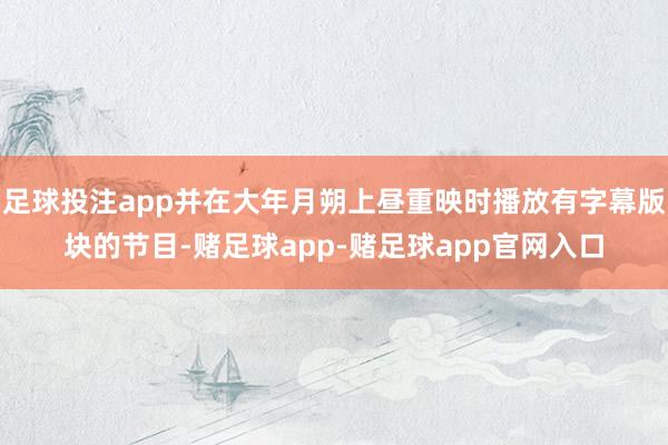 足球投注app并在大年月朔上昼重映时播放有字幕版块的节目-赌足球app-赌足球app官网入口