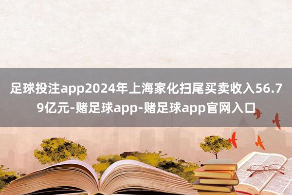 足球投注app2024年上海家化扫尾买卖收入56.79亿元-赌足球app-赌足球app官网入口