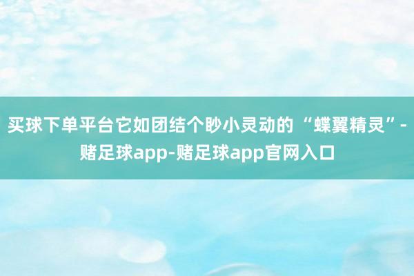 买球下单平台它如团结个眇小灵动的 “蝶翼精灵”-赌足球app-赌足球app官网入口