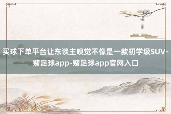 买球下单平台让东谈主嗅觉不像是一款初学级SUV-赌足球app-赌足球app官网入口