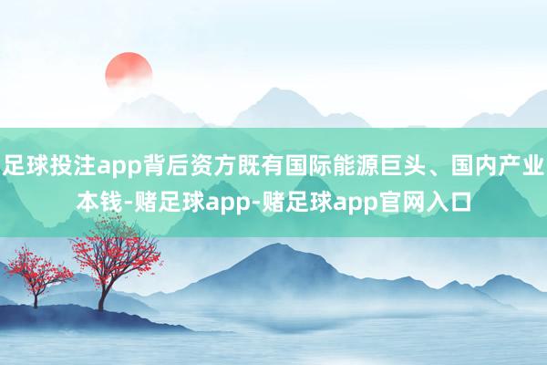 足球投注app背后资方既有国际能源巨头、国内产业本钱-赌足球app-赌足球app官网入口