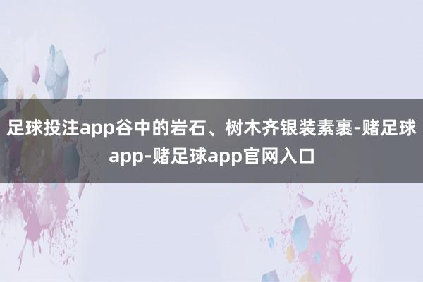 足球投注app谷中的岩石、树木齐银装素裹-赌足球app-赌足球app官网入口