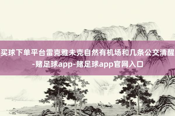 买球下单平台雷克雅未克自然有机场和几条公交清醒-赌足球app-赌足球app官网入口