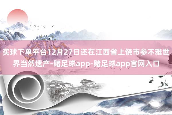 买球下单平台12月27日还在江西省上饶市参不雅世界当然遗产-赌足球app-赌足球app官网入口