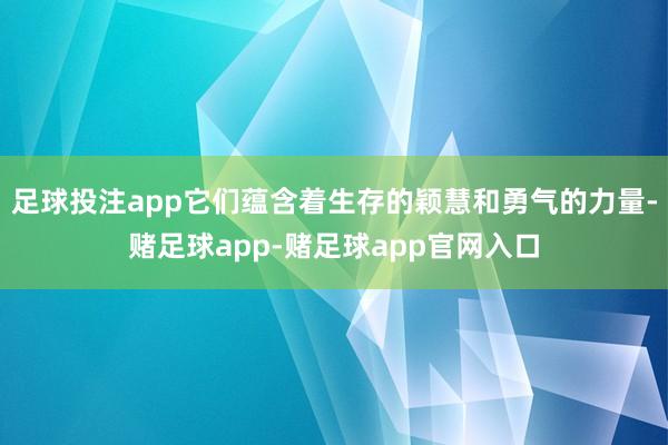 足球投注app它们蕴含着生存的颖慧和勇气的力量-赌足球app-赌足球app官网入口