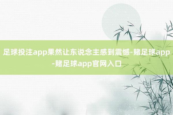 足球投注app果然让东说念主感到震憾-赌足球app-赌足球app官网入口