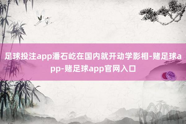 足球投注app潘石屹在国内就开动学影相-赌足球app-赌足球app官网入口