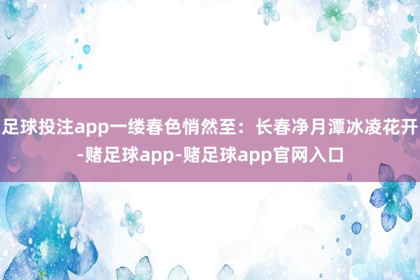 足球投注app一缕春色悄然至：长春净月潭冰凌花开-赌足球app-赌足球app官网入口