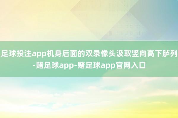 足球投注app机身后面的双录像头汲取竖向高下胪列-赌足球app-赌足球app官网入口
