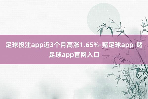 足球投注app近3个月高涨1.65%-赌足球app-赌足球app官网入口