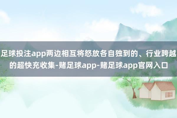 足球投注app两边相互将怒放各自独到的、行业跨越的超快充收集-赌足球app-赌足球app官网入口