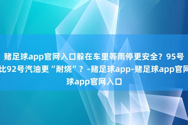 赌足球app官网入口躲在车里等雨停更安全？95号汽油比92号汽油更“耐烧”？-赌足球app-赌足球app官网入口