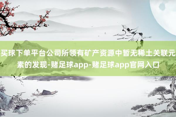 买球下单平台公司所领有矿产资源中暂无稀土关联元素的发现-赌足球app-赌足球app官网入口