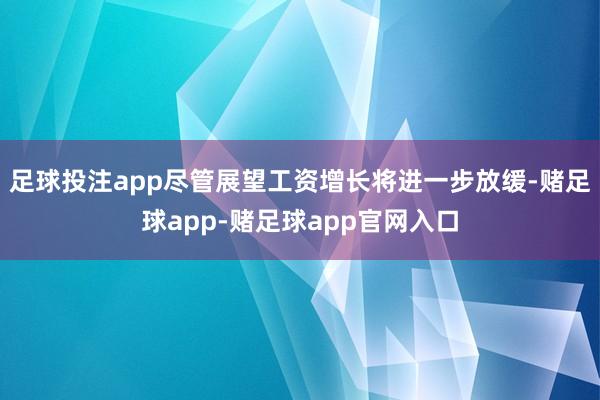 足球投注app　　尽管展望工资增长将进一步放缓-赌足球app-赌足球app官网入口