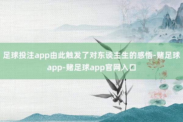 足球投注app由此触发了对东谈主生的感悟-赌足球app-赌足球app官网入口