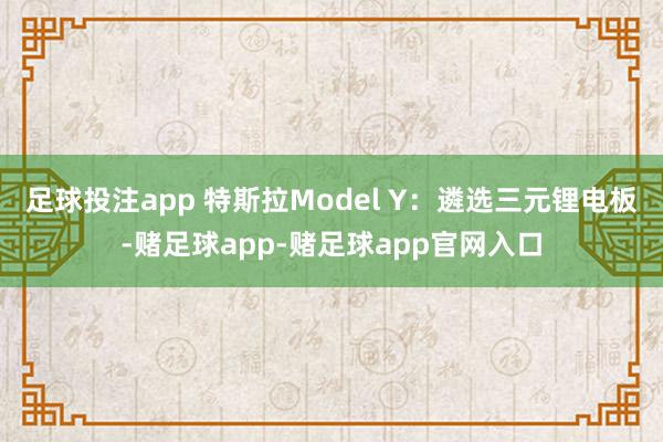 足球投注app 特斯拉Model Y：遴选三元锂电板-赌足球app-赌足球app官网入口