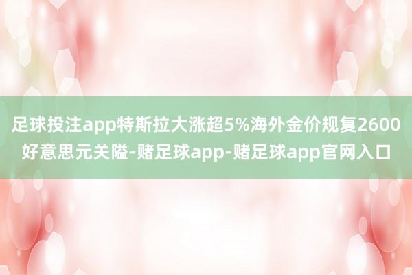 足球投注app特斯拉大涨超5%海外金价规复2600好意思元关隘-赌足球app-赌足球app官网入口