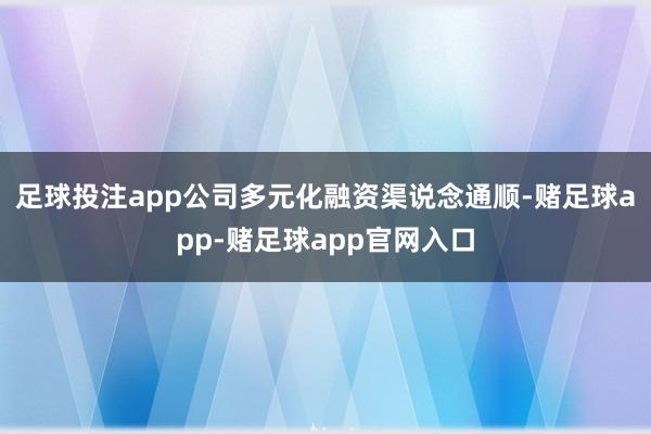 足球投注app公司多元化融资渠说念通顺-赌足球app-赌足球app官网入口