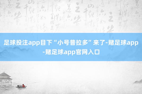 足球投注app目下“小号普拉多”来了-赌足球app-赌足球app官网入口