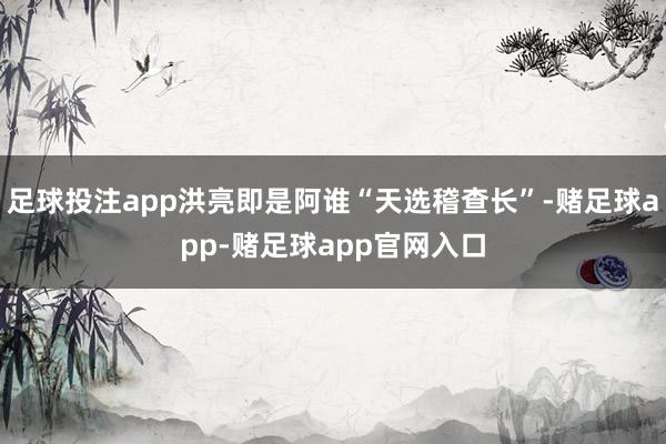 足球投注app洪亮即是阿谁“天选稽查长”-赌足球app-赌足球app官网入口