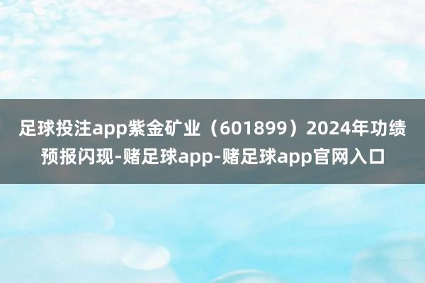 足球投注app紫金矿业（601899）2024年功绩预报闪现-赌足球app-赌足球app官网入口