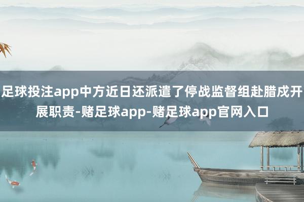 足球投注app中方近日还派遣了停战监督组赴腊戍开展职责-赌足球app-赌足球app官网入口