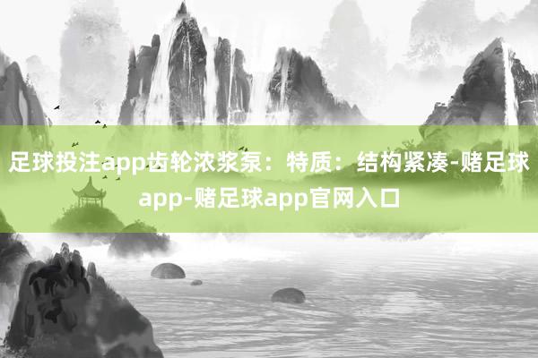 足球投注app齿轮浓浆泵：特质：结构紧凑-赌足球app-赌足球app官网入口