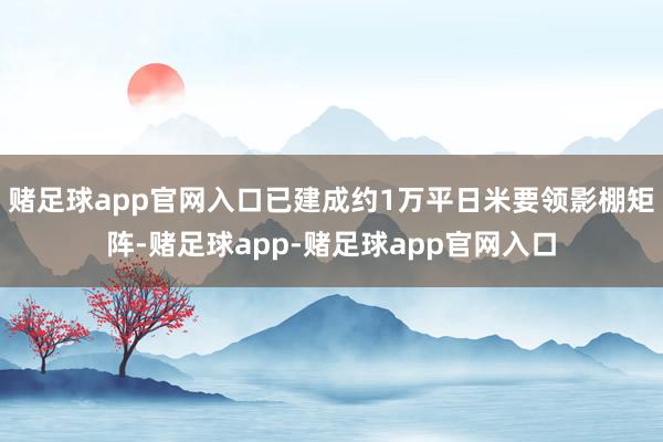 赌足球app官网入口已建成约1万平日米要领影棚矩阵-赌足球app-赌足球app官网入口