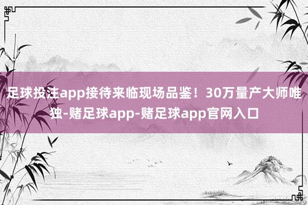 足球投注app接待来临现场品鉴！30万量产大师唯独-赌足球app-赌足球app官网入口