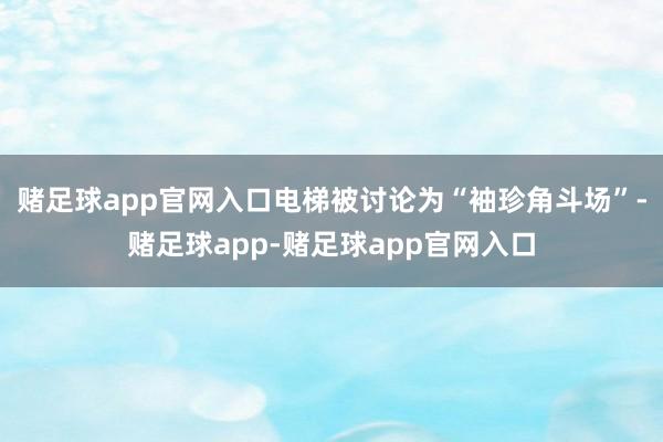 赌足球app官网入口电梯被讨论为“袖珍角斗场”-赌足球app-赌足球app官网入口