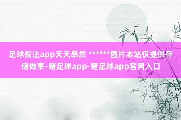 足球投注app天天昂然 ******图片本站仅提供存储做事-赌足球app-赌足球app官网入口