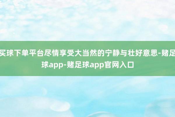 买球下单平台尽情享受大当然的宁静与壮好意思-赌足球app-赌足球app官网入口