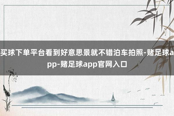 买球下单平台看到好意思景就不错泊车拍照-赌足球app-赌足球app官网入口