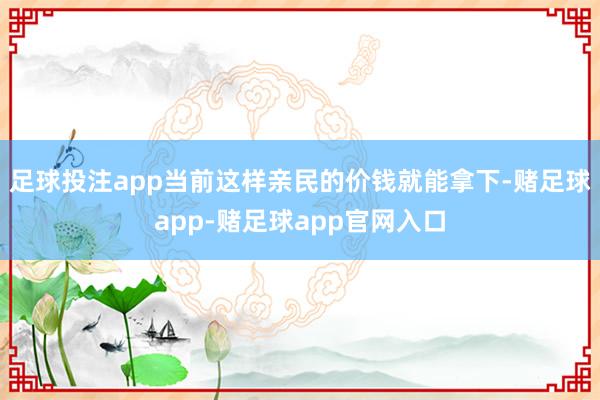 足球投注app当前这样亲民的价钱就能拿下-赌足球app-赌足球app官网入口