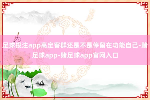 足球投注app高定客群还是不是停留在功能自己-赌足球app-赌足球app官网入口