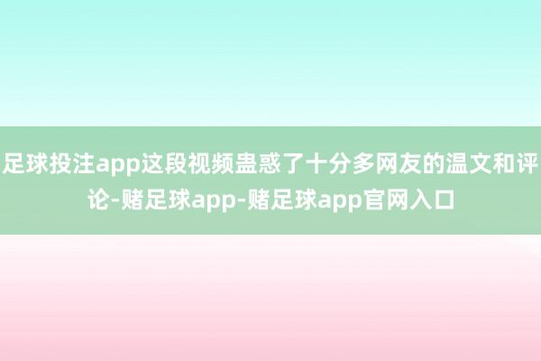 足球投注app这段视频蛊惑了十分多网友的温文和评论-赌足球app-赌足球app官网入口