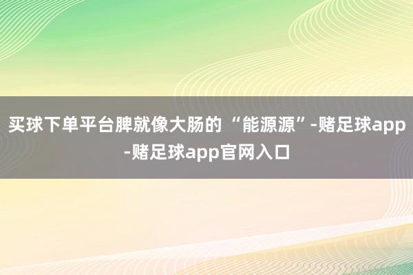 买球下单平台脾就像大肠的 “能源源”-赌足球app-赌足球app官网入口