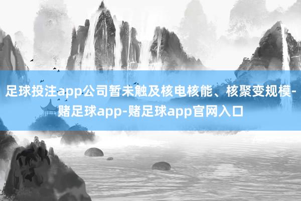 足球投注app公司暂未触及核电核能、核聚变规模-赌足球app-赌足球app官网入口
