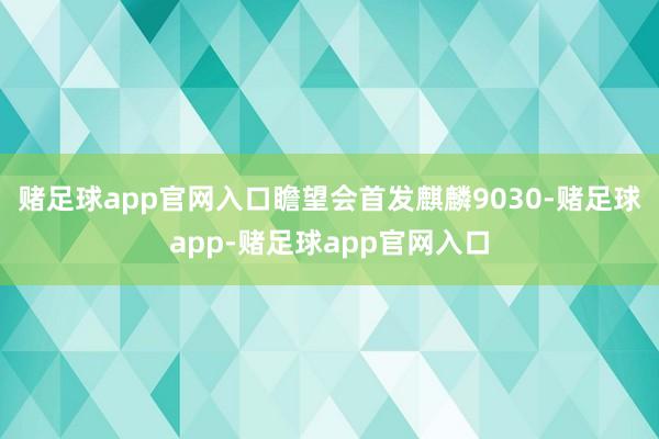 赌足球app官网入口瞻望会首发麒麟9030-赌足球app-赌足球app官网入口