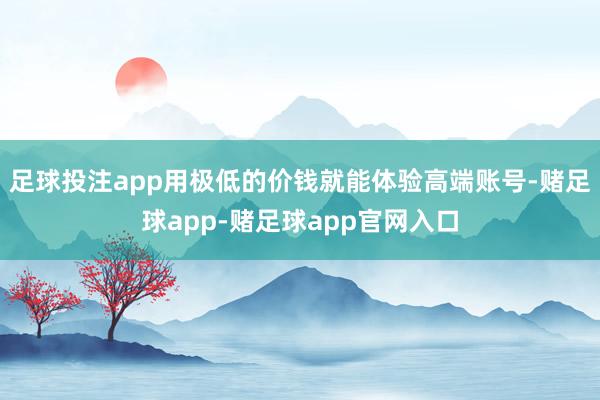 足球投注app用极低的价钱就能体验高端账号-赌足球app-赌足球app官网入口