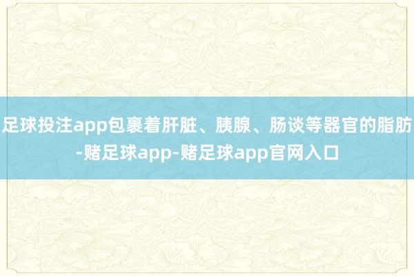 足球投注app包裹着肝脏、胰腺、肠谈等器官的脂肪-赌足球app-赌足球app官网入口