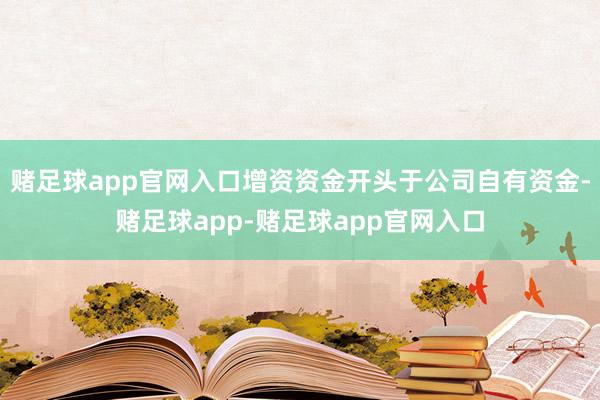 赌足球app官网入口增资资金开头于公司自有资金-赌足球app-赌足球app官网入口