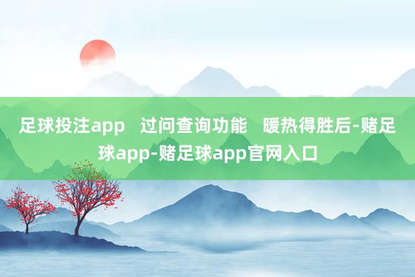 足球投注app 过问查询功能 暖热得胜后-赌足球app-赌足球app官网入口