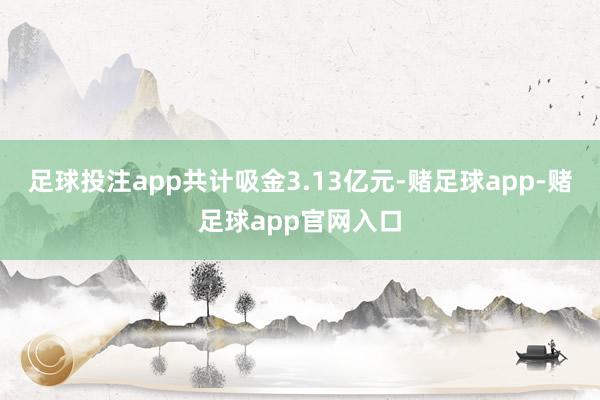 足球投注app共计吸金3.13亿元-赌足球app-赌足球app官网入口