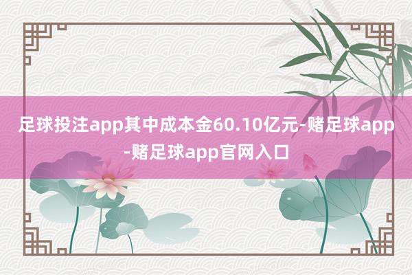 足球投注app其中成本金60.10亿元-赌足球app-赌足球app官网入口