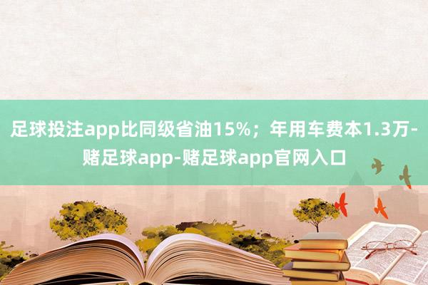 足球投注app比同级省油15%;年用车费本1.3万-赌足球app-赌足球app官网入口