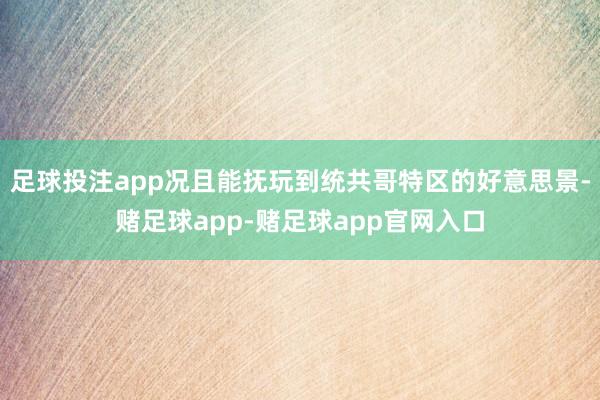 足球投注app况且能抚玩到统共哥特区的好意思景-赌足球app-赌足球app官网入口