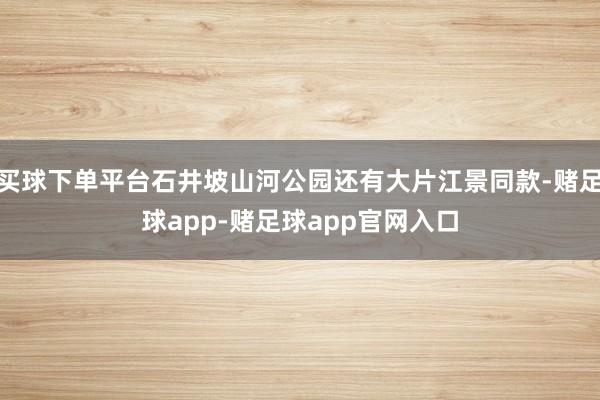 买球下单平台石井坡山河公园还有大片江景同款-赌足球app-赌足球app官网入口