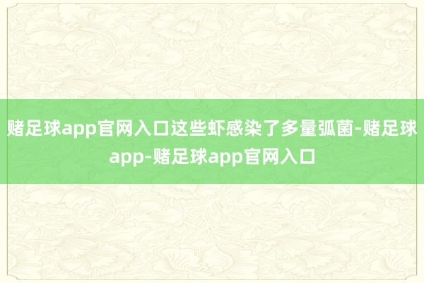 赌足球app官网入口这些虾感染了多量弧菌-赌足球app-赌足球app官网入口