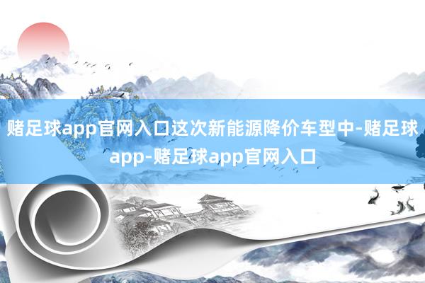 赌足球app官网入口这次新能源降价车型中-赌足球app-赌足球app官网入口